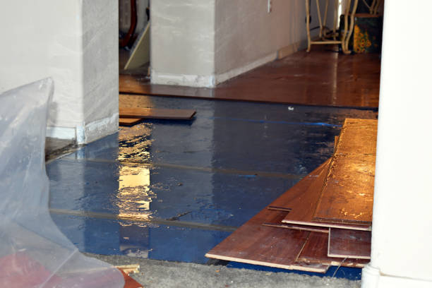 Professional Burst Pipe Cleanup technician working in Litchville, ND