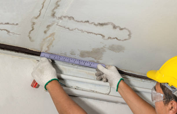 Reliable Burst Pipe Cleanup contractor in Litchville, ND by Water Damage Irwin